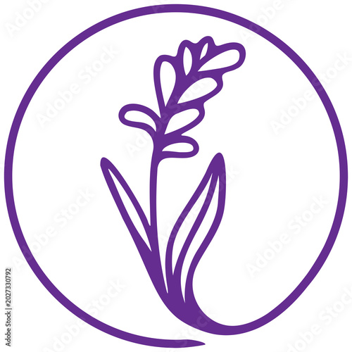 Lavender flower over the white background