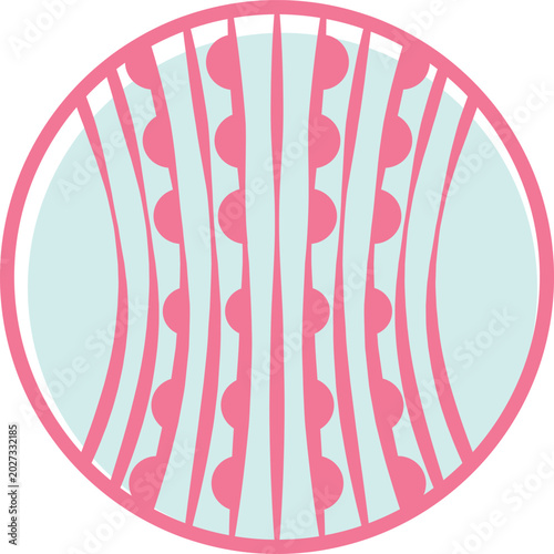 image of the concept of a therapeutic women's corset