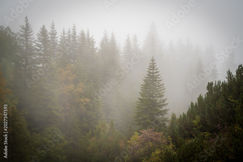 Canvas Print Nebel