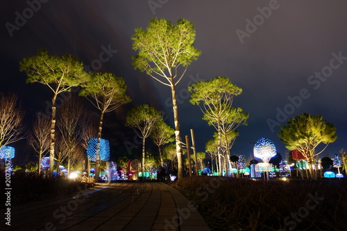Decorations in the park with glowing garlands at night. Landscaped garden. Fabulous landscape.