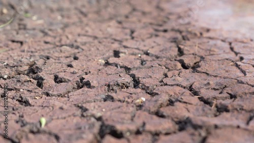 Macro close-up of dry cracked soil and dehydrated ground surface. Smooth camera movement over arid earth texture with shallow depth of field and bokeh effect.