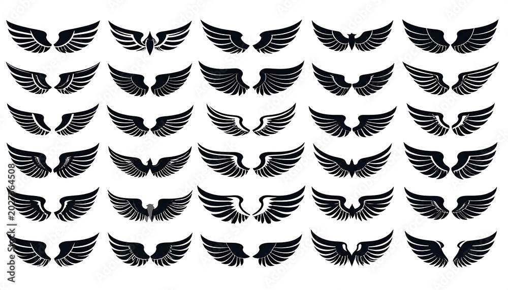 Obraz premium Collection of diverse stylized wing designs, black and white