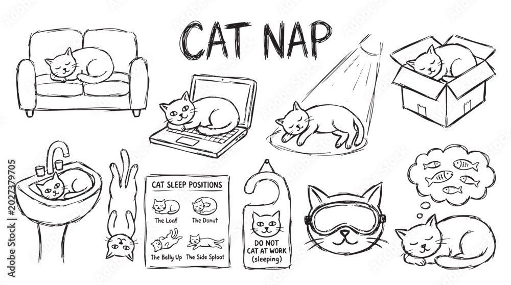 Fototapeta premium Cute cats sleeping in various funny positions and places for cat nap concept.