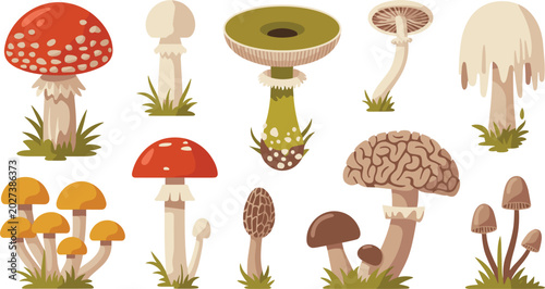 Foto Forest Mushroom and Wild Toadstool Icon Set Featuring Poisonous Fly Agaric Morel