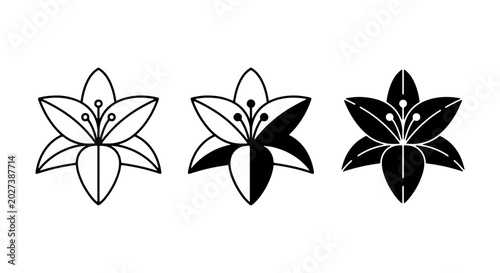 Foto Elegant Lily Flower Icons, Vector Set: Outline, Silhouette, Black and White Flor