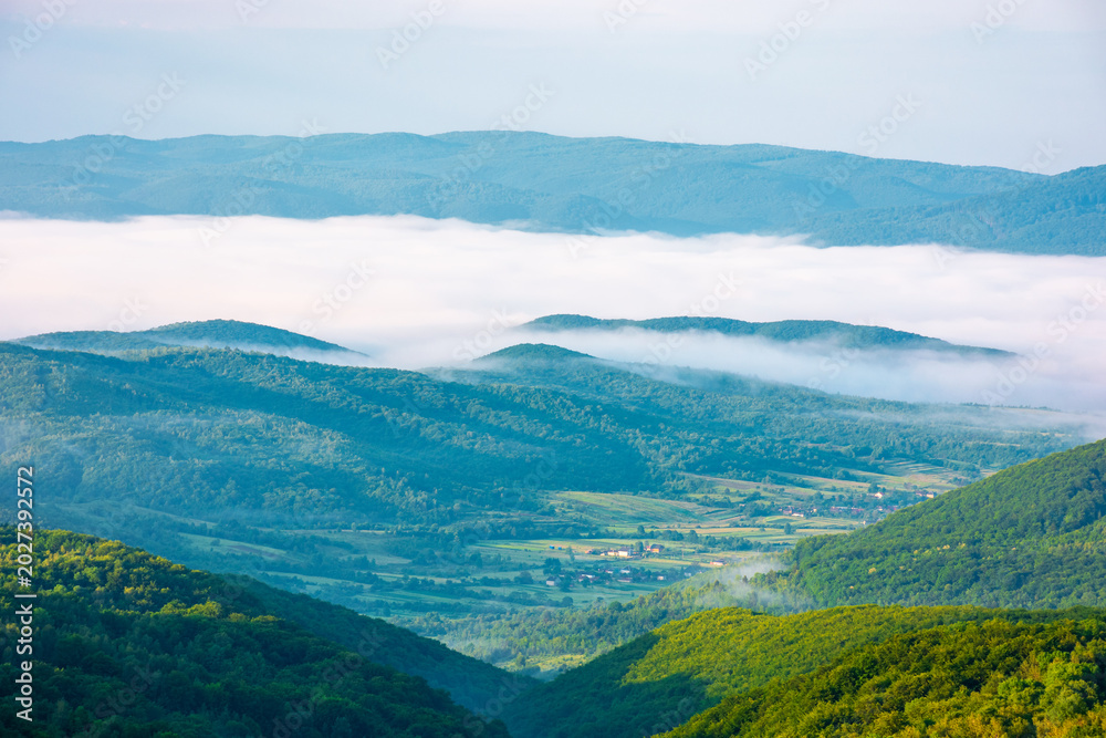 Fototapeta premium carpathian mountain landscape on a foggy morning. outdoor adventure with stunning view in morning light. mountainous countryside of ukraine in summer. rolling hills. scenic travel background