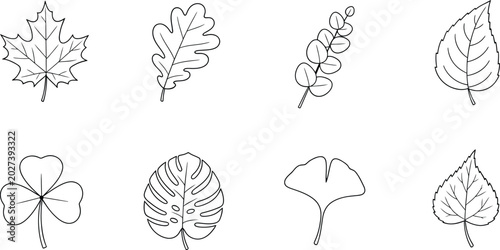 Set of various hand drawn botanical leaf sketches and nature plant outline illustrations