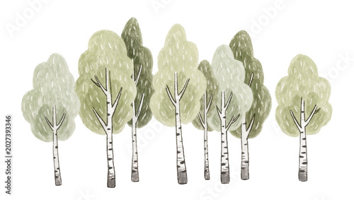 Φωτογραφία Group of birch trees with light green foliage, isolated on transparent backgroun