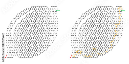 Fotografija Leaf-shaped maze for puzzle enthusiasts with marked path