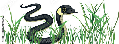 Cute cartoon black grass snake (Natrix natrix) in green grass, vector illustration isolated