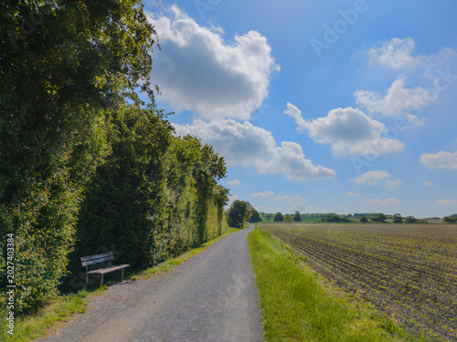 Der Frühling am Kronsberg in Hannover bietet eine idyllische Naturlandschaft, die sich  perfekt für Spaziergänge oder Radtouren eignet