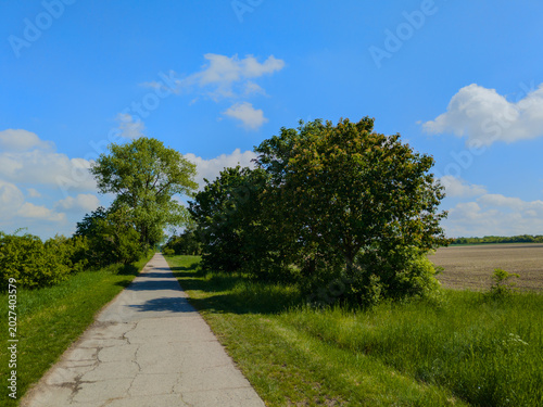 Der Frühling am Kronsberg in Hannover bietet eine idyllische Naturlandschaft, die sich  perfekt für Spaziergänge oder Radtouren eignet
