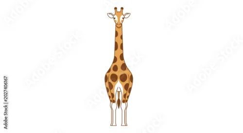 Obraz Giraffe standing tall with spots.