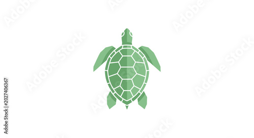 Canvastavla Green turtle shell with flippers.