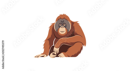 Fotografie Orangutan Sitting on Ground Looking Forward.
