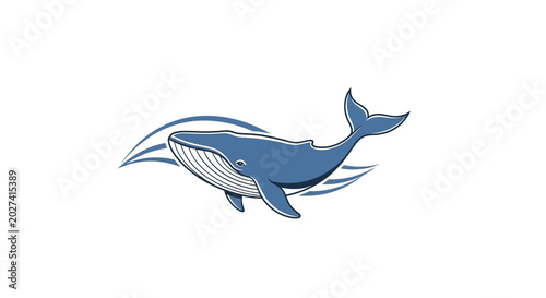 Foto Large Blue Whale Swimming Ocean Waters.