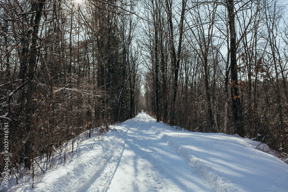 Obraz premium Trail in Winter 2