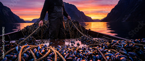 Fishermen harvesting mussels at sunrise in fjord