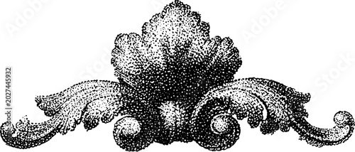 Acanthus leaf ornament centered on white decorative border