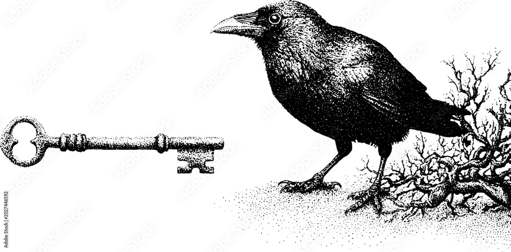Fototapeta premium Crow walking beside key and gnarled branch on white background