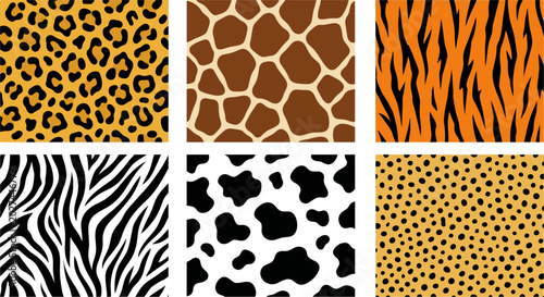Obraz na płótnie Collection of wild animal skin patterns featuring leopard spots giraffe patches