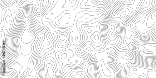 Schilderij op canvas Abstract Topographic Map with Gray Contour Lines, Detailed Terrain Elevation Patterns and Minimal Cartography Design Featuring Peaks and Valleys