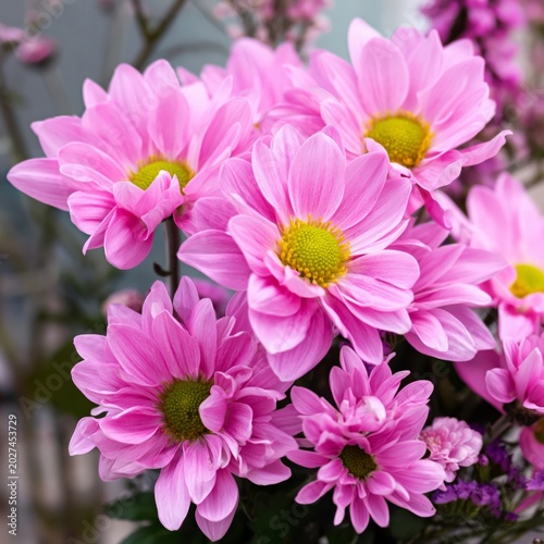 Bright Pink Flowers Arranged in a Bunch With Green Centers in a Natural Setting