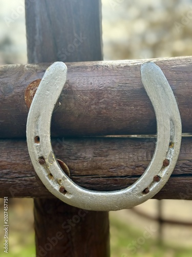 Bilde på lerret A silver metal horseshoe mounted on a rough wooden post made of logs