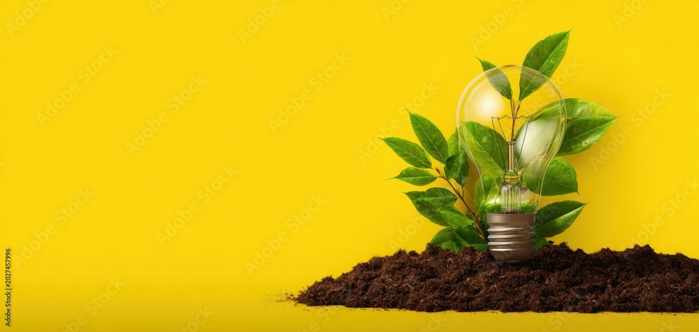 Fototapeta premium The lightbulb sprouting green leaves in soil symbolizing sustainable energy and eco innovation