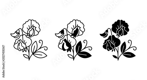 Bild auf Leinwand Sweet Pea Flower Icons, Delicate Botanical Line Art Set, Vector Floral Graphics