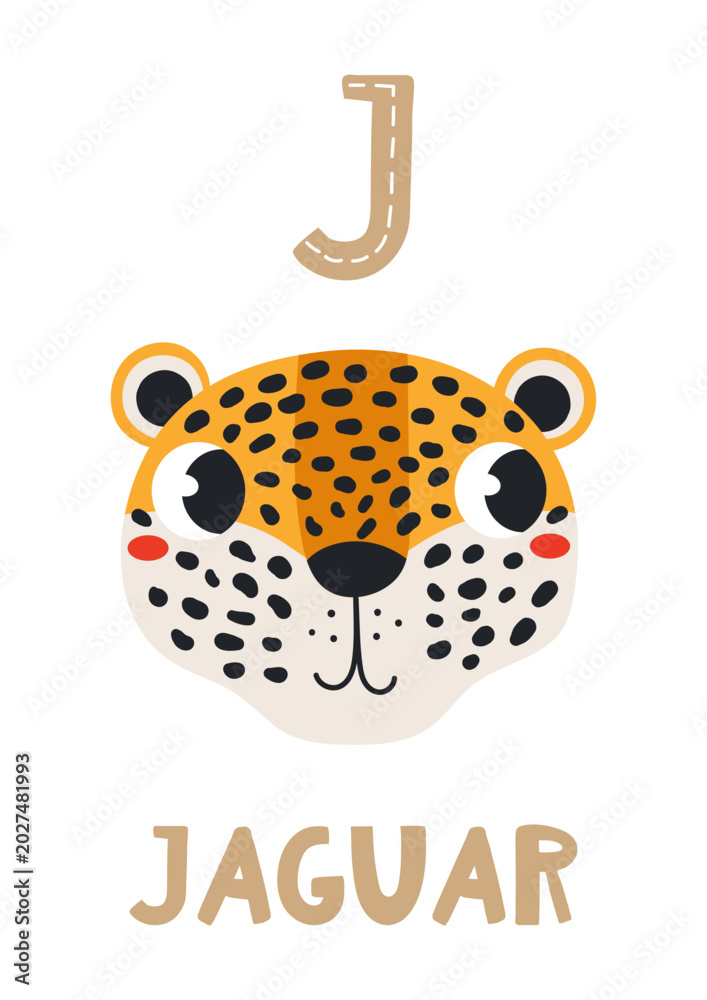 Fototapeta premium Cute jaguar face, letter J, text, illustration isolated. ABC card, cartoon animal character. Kids English alphabet, preschool, school learning. Hand drawn flat vector clip art, design element