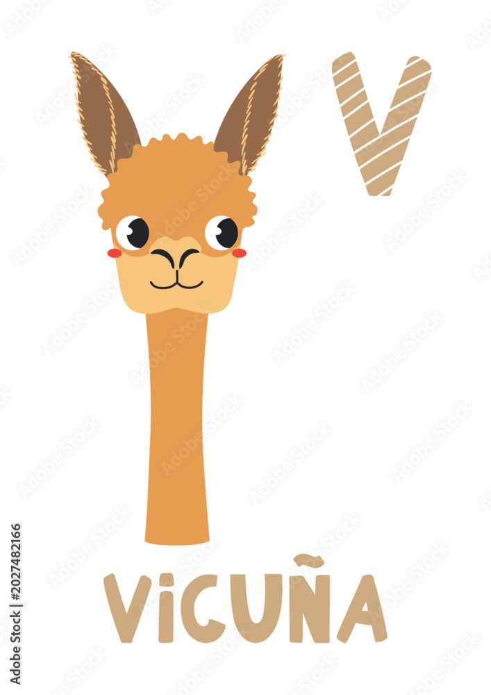 Obraz premium Cute vicuna face, letter V, text, illustration isolated. ABC card, cartoon animal character. Kids English alphabet, preschool, school learning. Hand drawn flat vector clip art, design element