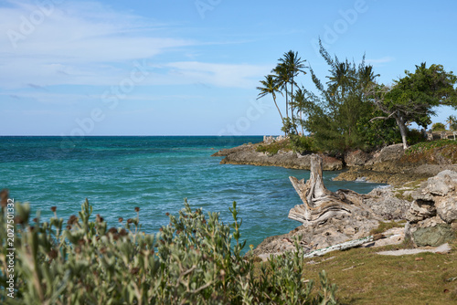 Foto Tropical coastline with turquoise caribbean sea, rocky shore, and lush vegetatio