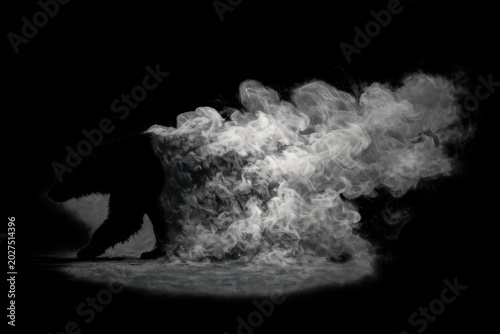 Silhouette bear emerging from swirling smoke in dramatic black and white composition