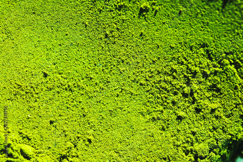 textured surface of green matcha powder  natural background perfect for health, food, or branding visuals