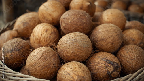 Rustic Basket of Fresh Whole Coconuts Close Up