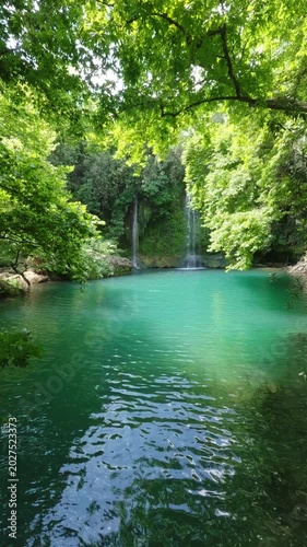 Waterfall and pool in lush deserted forest