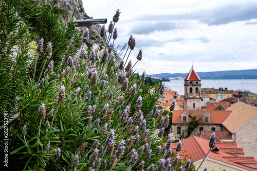 Vibrant lavender flowers in the foreground offer a fragrant view of a charming Mediterranean village and its bell tower by the calm sea
