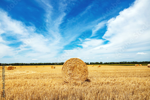 Tableau sur toile Closeup of a Yellow Round Straw Bale background