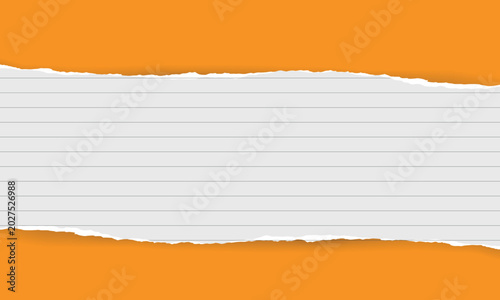 Torn Orange Paper Border over Lined Notebook Page Background