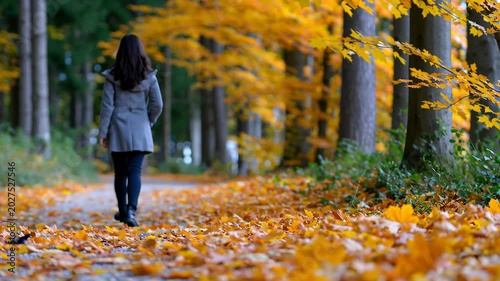 Person Walks Through Forest With Colorful Leaves on the Ground in Autumn