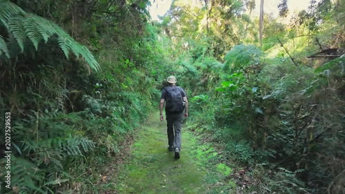 Man walking through the nature in a rainforest in Brazil