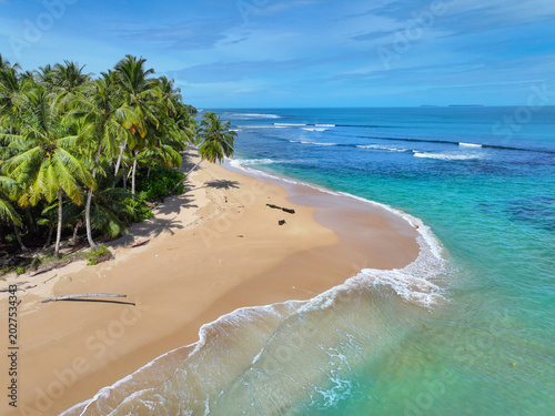 AERIAL: Quiet stretch of sandy beach, leaning coconut palms and turquoise sea, with a lineup of surfers farther out. Mellow tropical scenery at famous surf spot Beng Bengs in the Mentawai islands.