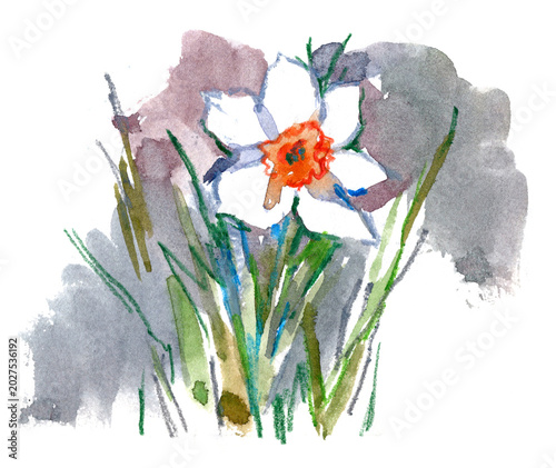 Expressive watercolor daffodil with white petals and bright orange center, surrounded by loose green strokes and soft washes. Hand-painted spring floral card with artistic, airy feel