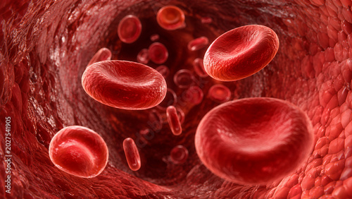 Fotografía red blood cells render