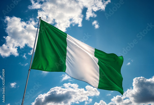 flag of nigeria