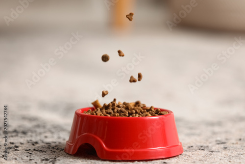 Bowl of dry pet food on car...