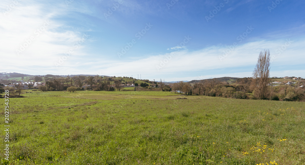 Fototapeta premium Wide Rural Meadow Landscape With Blue Sky and Distant Hills