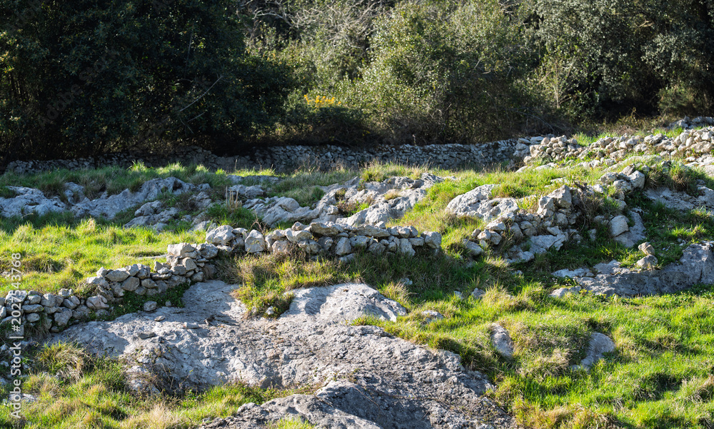Fototapeta premium Rocky Grassland with Dry Stone Walls and Woodland Edge