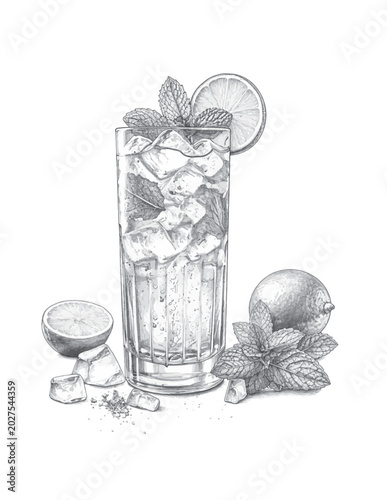 Quadro em tela limonada vectorizada e ilustrada, limonada con alcohol, limonada con menta, ilus